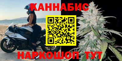 стаф Донской