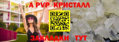 стаф Донской