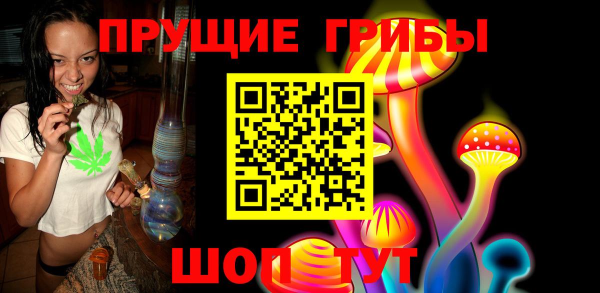 Псилоцибиновые грибы Psilocybine cubensis Ливны