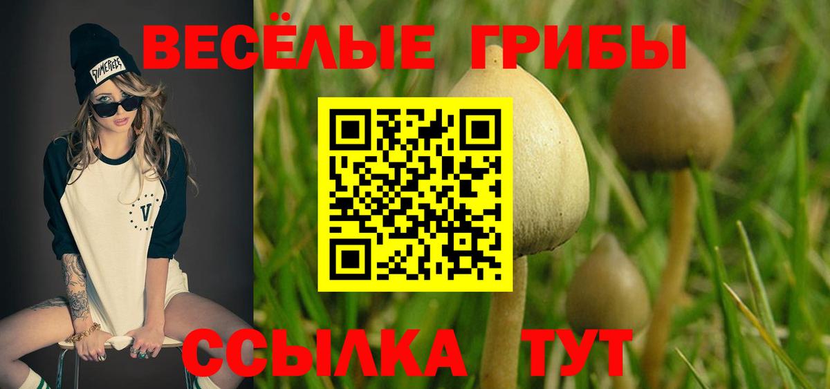 Галлюциногенные грибы ЛСД  Псилоцибиновые грибы MAGIC MUSHROOMS  Ливны  Вход с VPN 